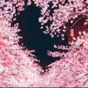 ヒメ日記 2025/04/10 22:21 投稿 ルイ タレントCLUB