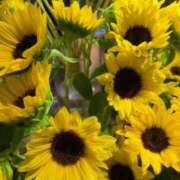 ヒメ日記 2025/04/25 10:24 投稿 ルイ タレントCLUB