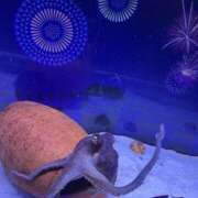 ヒメ日記 2025/11/01 20:11 投稿 ルイ タレントCLUB