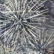 ヒメ日記 2025/11/05 19:39 投稿 ルイ タレントCLUB