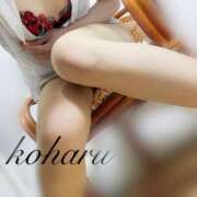 ヒメ日記 2025/04/13 20:19 投稿 掛下　心春 極みSPAネクサス東海(旧イマジン名古屋)