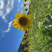 ヒメ日記 2025/08/11 18:31 投稿 ミク ここ恋