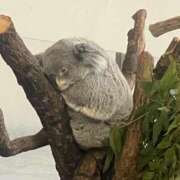 ヒメ日記 2025/07/14 15:38 投稿 ゆうか 初体験