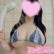 ヒメ日記 2025/01/13 12:49 投稿 みれい☆ CLUB PIAA