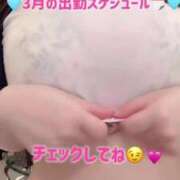 ヒメ日記 2025/02/20 00:08 投稿 みれい☆ CLUB PIAA