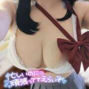 ヒメ日記 2025/03/12 11:30 投稿 みれい☆ CLUB PIAA