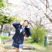 ヒメ日記 2025/12/13 12:03 投稿 みれい☆ CLUB PIAA