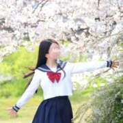 ヒメ日記 2026/03/29 12:00 投稿 みれい☆ CLUB PIAA