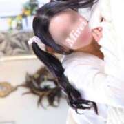 ヒメ日記 2026/04/11 12:00 投稿 みれい☆ CLUB PIAA