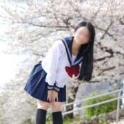 ヒメ日記 2026/06/09 12:02 投稿 みれい☆ CLUB PIAA