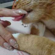 いずみ 【出勤】21日22日【出勤】 梅田アバンチュール