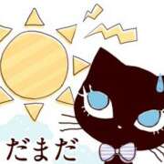 ヒメ日記 2025/06/06 10:08 投稿 桃乃 千葉栄町ムンムン熟女妻