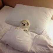 ヒメ日記 2025/02/07 23:54 投稿 夢乃 千葉栄町ムンムン熟女妻