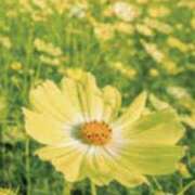 ヒメ日記 2025/02/15 08:56 投稿 夢乃 千葉栄町ムンムン熟女妻