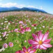 ヒメ日記 2025/02/26 09:25 投稿 夢乃 千葉栄町ムンムン熟女妻