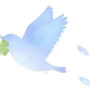 ヒメ日記 2025/03/07 09:41 投稿 夢乃 千葉栄町ムンムン熟女妻