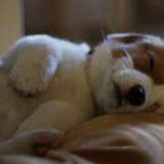 ヒメ日記 2025/03/08 00:08 投稿 夢乃 千葉栄町ムンムン熟女妻