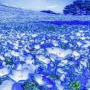 ヒメ日記 2025/03/08 09:44 投稿 夢乃 千葉栄町ムンムン熟女妻