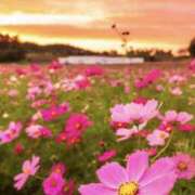 ヒメ日記 2025/03/12 09:20 投稿 夢乃 千葉栄町ムンムン熟女妻