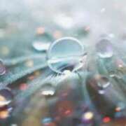 ヒメ日記 2025/03/16 09:37 投稿 夢乃 千葉栄町ムンムン熟女妻