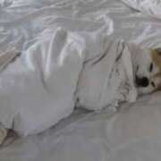 ヒメ日記 2025/05/18 00:19 投稿 夢乃 千葉栄町ムンムン熟女妻