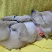 ヒメ日記 2025/08/23 00:21 投稿 夢乃 千葉栄町ムンムン熟女妻