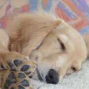 ヒメ日記 2025/09/04 00:32 投稿 夢乃 千葉栄町ムンムン熟女妻