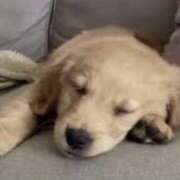 ヒメ日記 2025/09/04 23:22 投稿 夢乃 千葉栄町ムンムン熟女妻