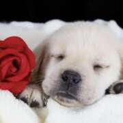 ヒメ日記 2025/09/05 23:56 投稿 夢乃 千葉栄町ムンムン熟女妻