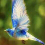 ヒメ日記 2025/09/06 09:20 投稿 夢乃 千葉栄町ムンムン熟女妻