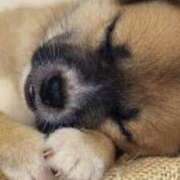 ヒメ日記 2025/09/06 23:54 投稿 夢乃 千葉栄町ムンムン熟女妻