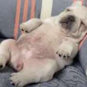 ヒメ日記 2025/09/08 23:17 投稿 夢乃 千葉栄町ムンムン熟女妻