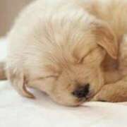 ヒメ日記 2026/03/08 00:40 投稿 夢乃 千葉栄町ムンムン熟女妻