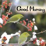 ヒメ日記 2025/02/05 08:01 投稿 美玲 千葉栄町ムンムン熟女妻