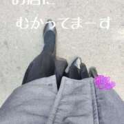 ヒメ日記 2024/12/20 12:33 投稿 滝沢しおり 松戸人妻花壇