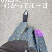 ヒメ日記 2025/01/24 12:33 投稿 滝沢しおり 松戸人妻花壇