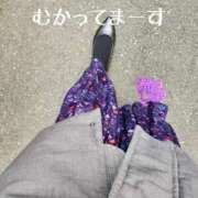 ヒメ日記 2025/02/07 12:31 投稿 滝沢しおり 松戸人妻花壇