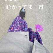 ヒメ日記 2025/02/21 12:31 投稿 滝沢しおり 松戸人妻花壇