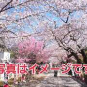 ヒメ日記 2025/02/22 15:05 投稿 滝沢しおり 松戸人妻花壇