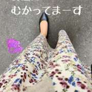 ヒメ日記 2025/02/28 12:31 投稿 滝沢しおり 松戸人妻花壇