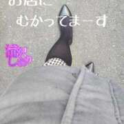 ヒメ日記 2025/03/07 12:31 投稿 滝沢しおり 松戸人妻花壇