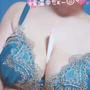 ヒメ日記 2025/03/22 08:47 投稿 滝沢しおり 松戸人妻花壇