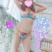 ヒメ日記 2025/03/23 11:54 投稿 滝沢しおり 松戸人妻花壇