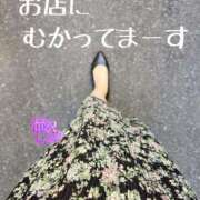 ヒメ日記 2025/03/23 12:31 投稿 滝沢しおり 松戸人妻花壇