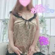 ヒメ日記 2025/03/25 09:21 投稿 滝沢しおり 松戸人妻花壇