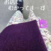 ヒメ日記 2025/03/30 12:31 投稿 滝沢しおり 松戸人妻花壇