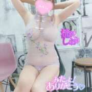 ヒメ日記 2025/04/06 09:13 投稿 滝沢しおり 松戸人妻花壇