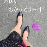 ヒメ日記 2025/04/06 13:30 投稿 滝沢しおり 松戸人妻花壇