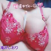 ヒメ日記 2025/04/08 08:23 投稿 滝沢しおり 松戸人妻花壇