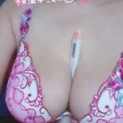 ヒメ日記 2025/04/10 06:59 投稿 滝沢しおり 松戸人妻花壇